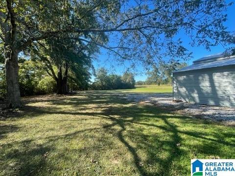 2201 4th Ave, Clanton, AL 35045 photo 5
