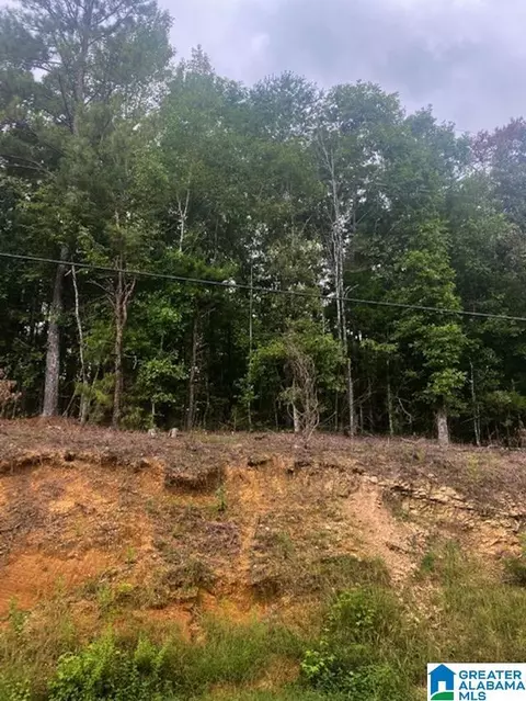 0 Highway 37 #-, Columbiana, AL 35051