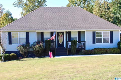 224 Ty Ln, Warrior, AL 35180 photo 26