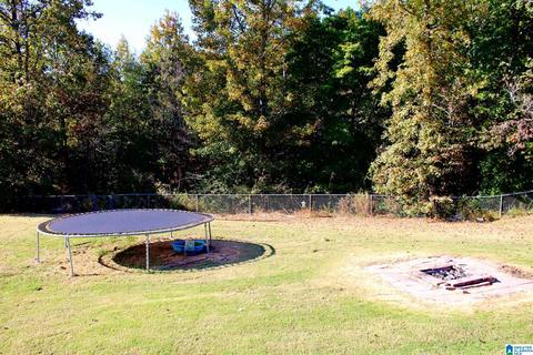 224 Ty Ln, Warrior, AL 35180 photo 21