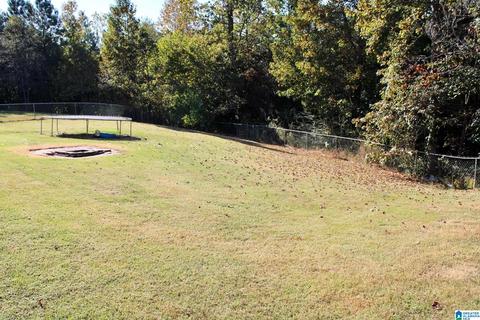 224 Ty Ln, Warrior, AL 35180 photo 25