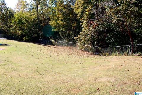224 Ty Ln, Warrior, AL 35180 photo 24