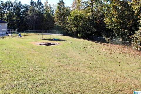 224 Ty Ln, Warrior, AL 35180 photo 22