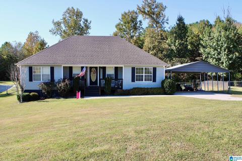 224 Ty Ln, Warrior, AL 35180 photo 1