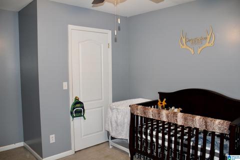 224 Ty Ln, Warrior, AL 35180 photo 16