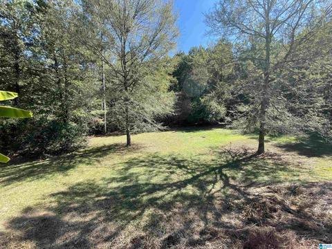720 Chapel Rd, Warrior, AL 35180 photo 2