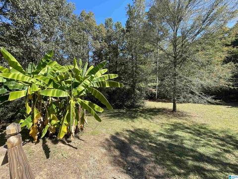 720 Chapel Rd, Warrior, AL 35180 photo 3