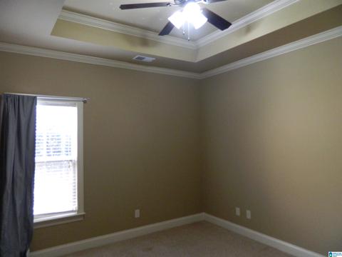 428 Red Bay Cv, Maylene, AL 35114 photo 33