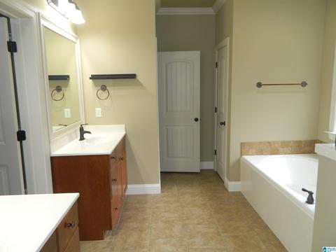 428 Red Bay Cv, Maylene, AL 35114 photo 32