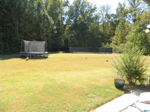 428 Red Bay Cv, Maylene, AL 35114 photo 2