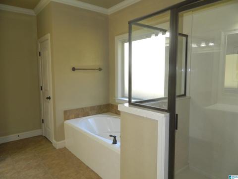 428 Red Bay Cv, Maylene, AL 35114 photo 20