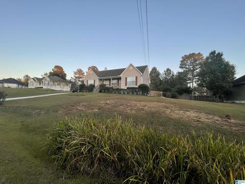 265 Ty Ln, Warrior, AL 35180 photo 28