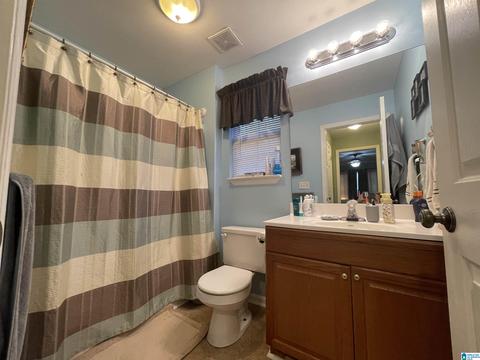 265 Ty Ln, Warrior, AL 35180 photo 17