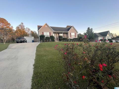 265 Ty Ln, Warrior, AL 35180 photo 27