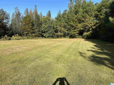 1407 County Road 41, Clanton, AL 35046 photo 25