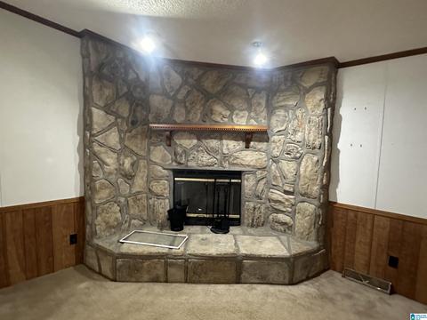 1407 County Road 41, Clanton, AL 35046 photo 5