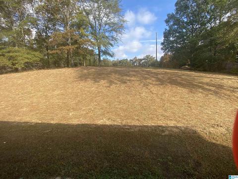 20975 Walnut Ln, Vance, AL 35490 photo 7