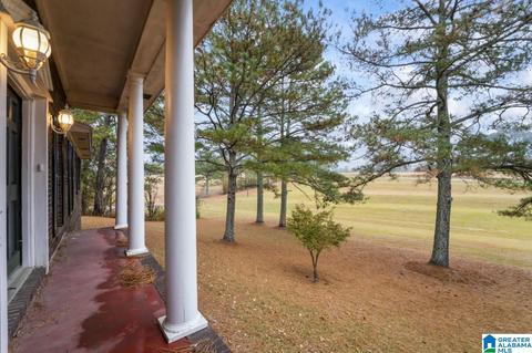 63 Daileys Chapel Rd, Oneonta, AL 35121 photo 18