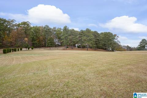 63 Daileys Chapel Rd, Oneonta, AL 35121 photo 2