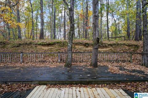 63 Daileys Chapel Rd, Oneonta, AL 35121 photo 20