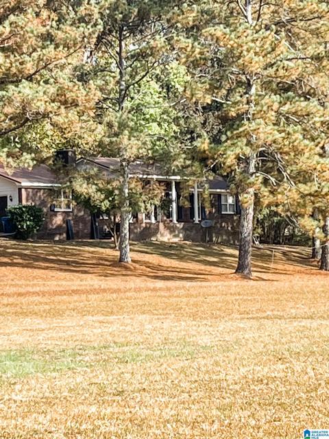 63 Daileys Chapel Rd, Oneonta, AL 35121 photo 1