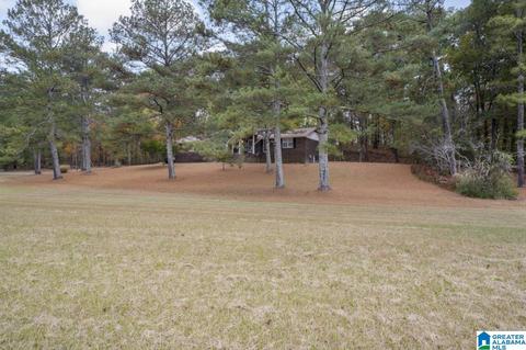 63 Daileys Chapel Rd, Oneonta, AL 35121 photo 9
