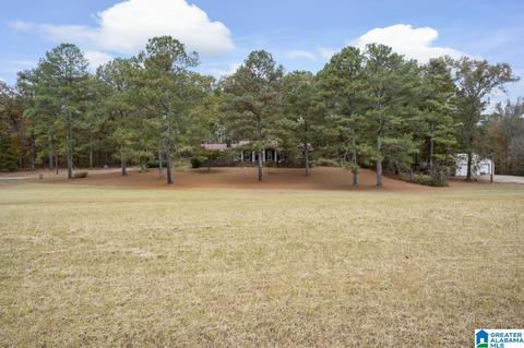 63 Daileys Chapel Rd, Oneonta, AL 35121 photo 6