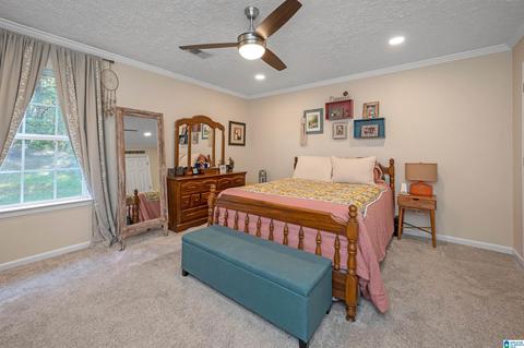 278 Red Valley Rd, Remlap, AL 35133 photo 16