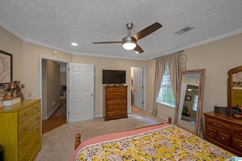 278 Red Valley Rd, Remlap, AL 35133 photo 18