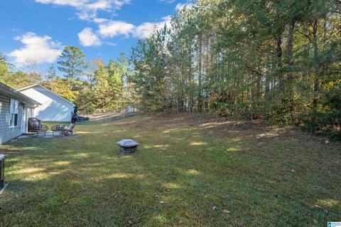 278 Red Valley Rd, Remlap, AL 35133 photo 32