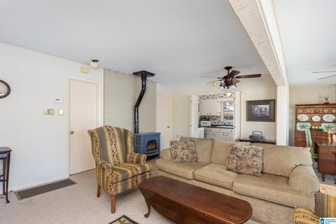 294 Mohawk Trl, Ohatchee, AL 36271 photo 21