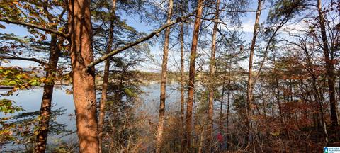 294 Mohawk Trl, Ohatchee, AL 36271 photo 24