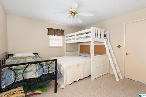 294 Mohawk Trl, Ohatchee, AL 36271 photo 14