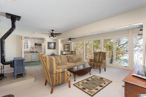 294 Mohawk Trl, Ohatchee, AL 36271 photo 10