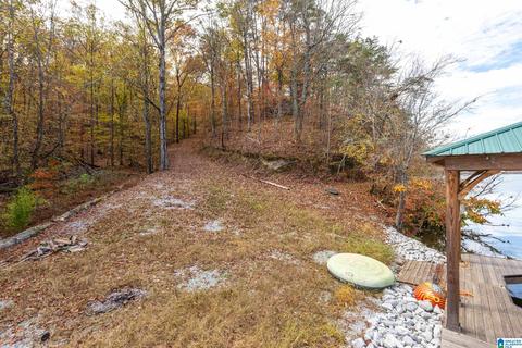 294 Mohawk Trl, Ohatchee, AL 36271 photo 27