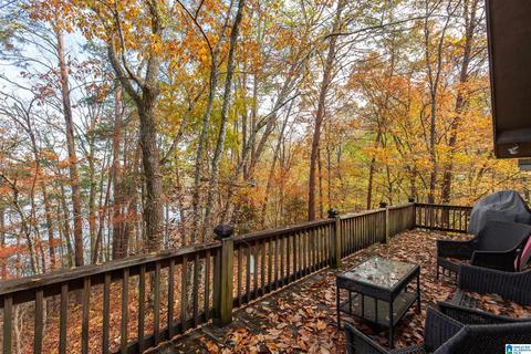 294 Mohawk Trl, Ohatchee, AL 36271 photo 22