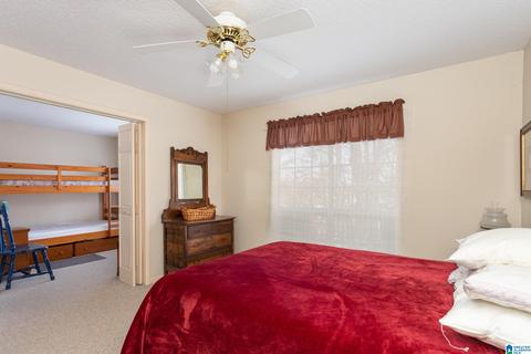 294 Mohawk Trl, Ohatchee, AL 36271 photo 15