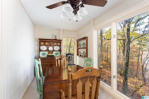 294 Mohawk Trl, Ohatchee, AL 36271 photo 12