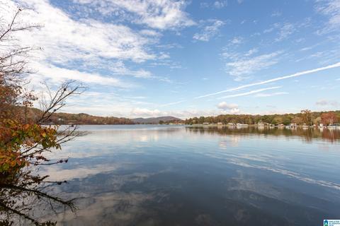 294 Mohawk Trl, Ohatchee, AL 36271 photo 1