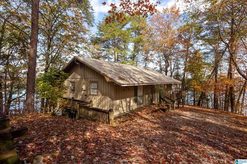 294 Mohawk Trl, Ohatchee, AL 36271 photo 29