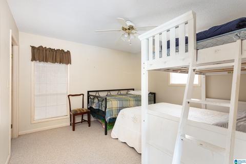 294 Mohawk Trl, Ohatchee, AL 36271 photo 13