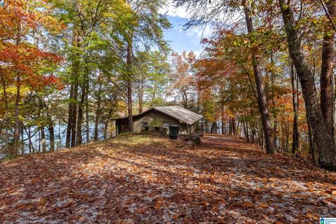 294 Mohawk Trl, Ohatchee, AL 36271 photo 2