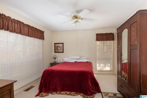 294 Mohawk Trl, Ohatchee, AL 36271 photo 16