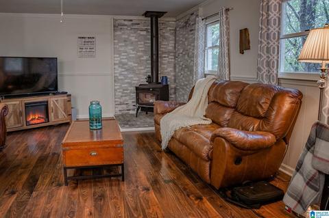 3873 Red Valley Rd, Remlap, AL 35133 photo 6