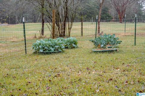 3873 Red Valley Rd, Remlap, AL 35133 photo 24