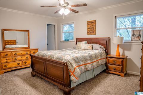 3873 Red Valley Rd, Remlap, AL 35133 photo 17