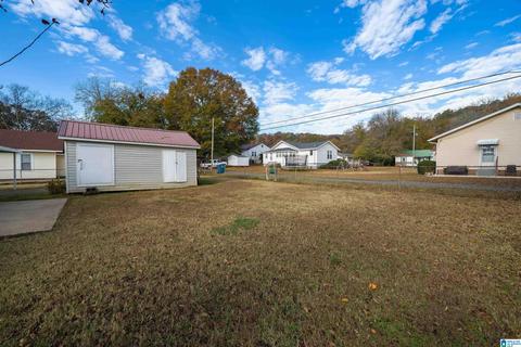 604 4th Ave E, Oneonta, AL 35121 photo 19