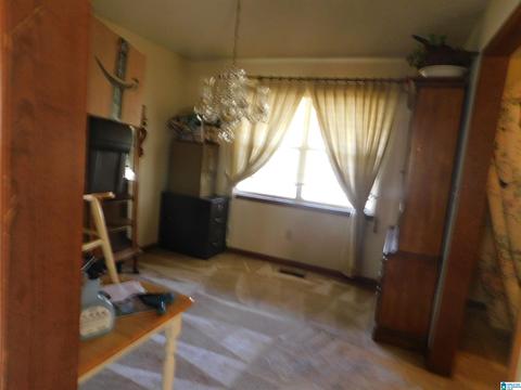 2954 Mount Olive Rd, Mount Olive, AL 35117 photo 19