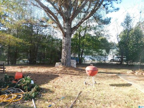 2954 Mount Olive Rd, Mount Olive, AL 35117 photo 33