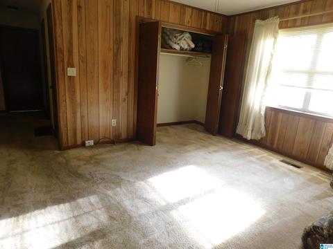 2954 Mount Olive Rd, Mount Olive, AL 35117 photo 15
